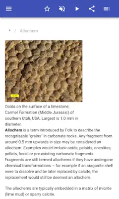 Sedimentary rocks android App screenshot 13